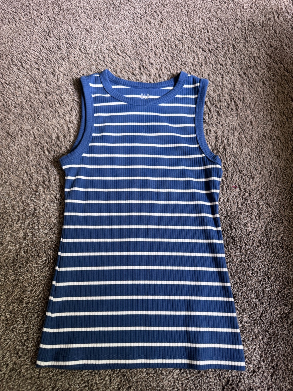 GAP Blue and White Striped Ribbed Tank Top